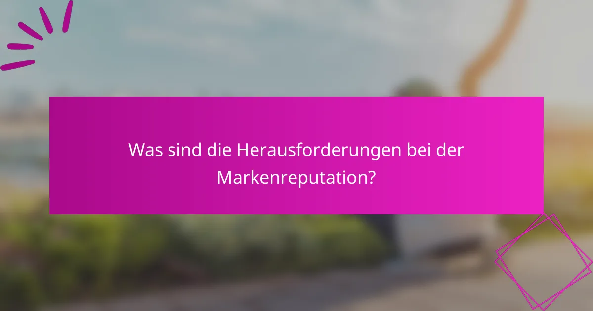 Was sind die Herausforderungen bei der Markenreputation?
