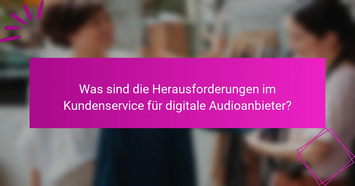 Was sind die Herausforderungen im Kundenservice für digitale Audioanbieter?
