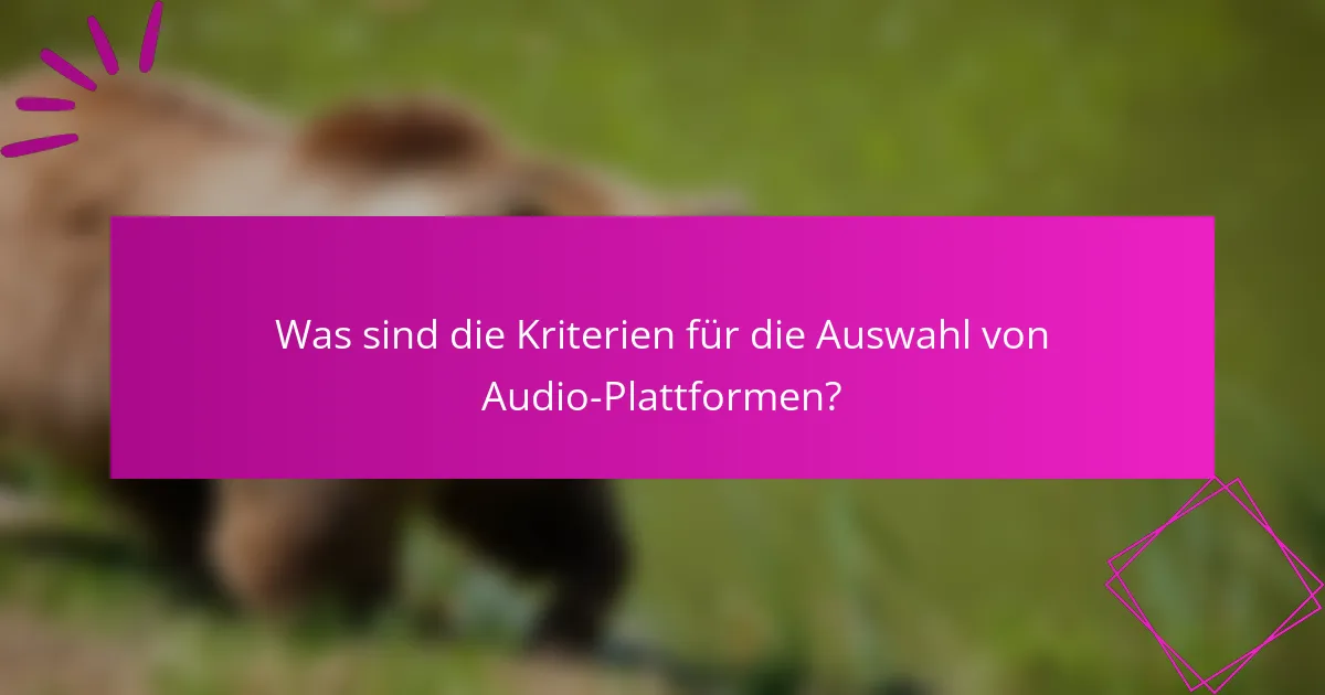 Was sind die Kriterien für die Auswahl von Audio-Plattformen?