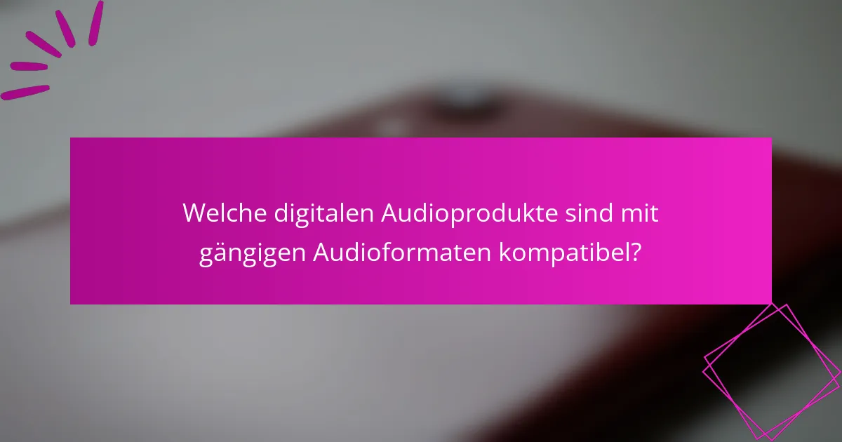 Welche digitalen Audioprodukte sind mit gängigen Audioformaten kompatibel?