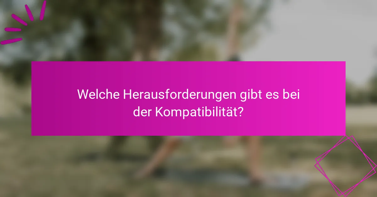 Welche Herausforderungen gibt es bei der Kompatibilität?