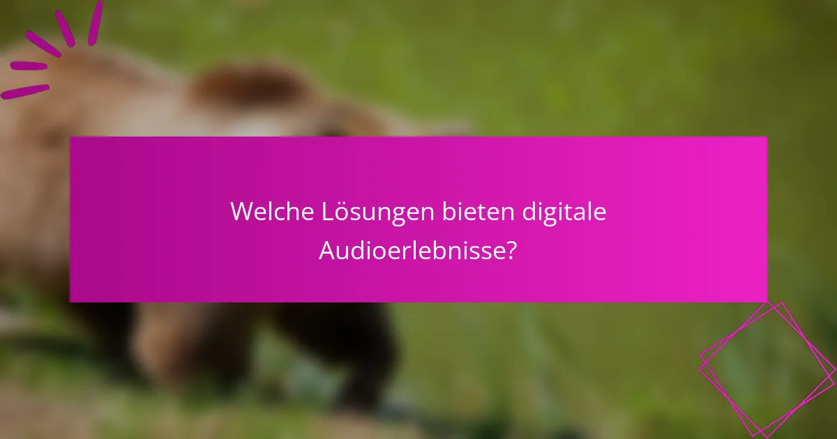 Welche Lösungen bieten digitale Audioerlebnisse?