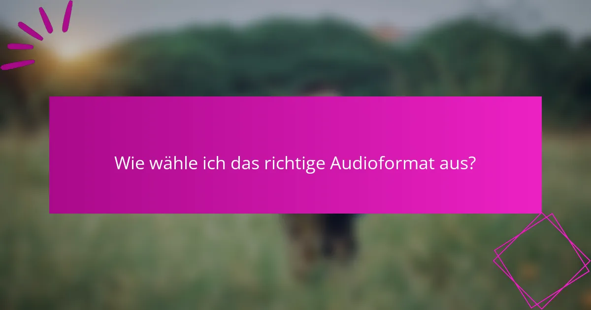 Wie wähle ich das richtige Audioformat aus?